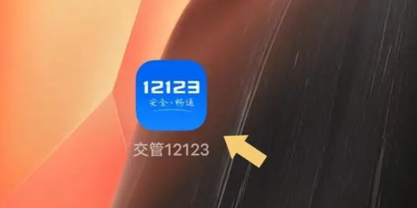 交管12123查询考试成绩分数怎么操作