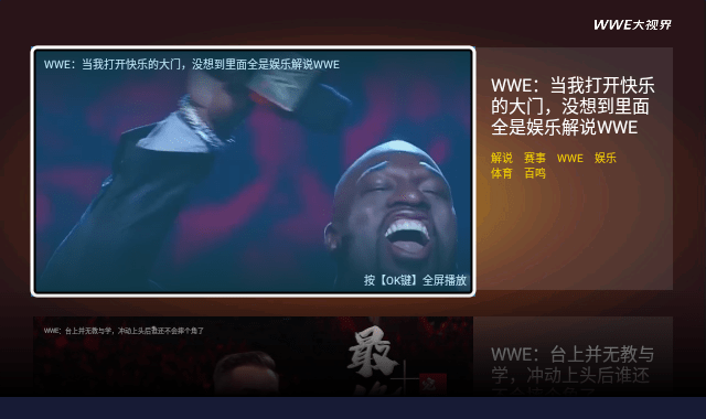 wwe大视界图集3