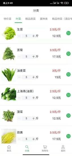 华盛蔬菜图集2